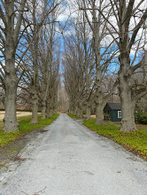 'Lime House' drive (April 2014, S. Blakely)